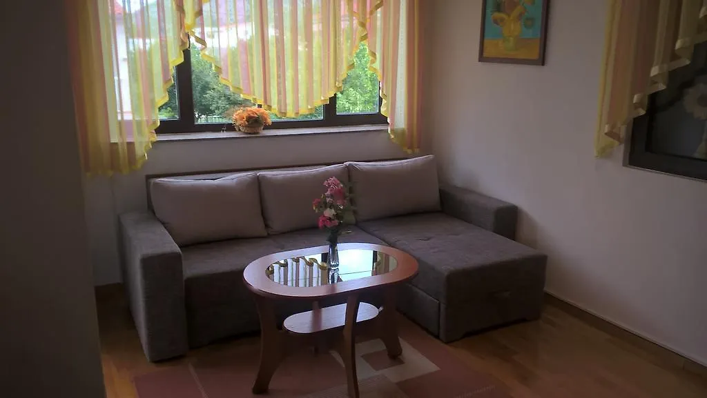Apartments Jurlina Seline 0*,